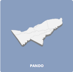 pando_caja1.png