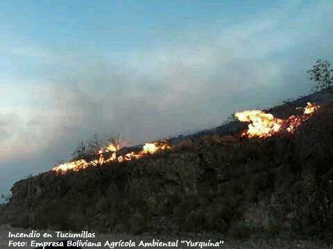 tucumillas.jpg